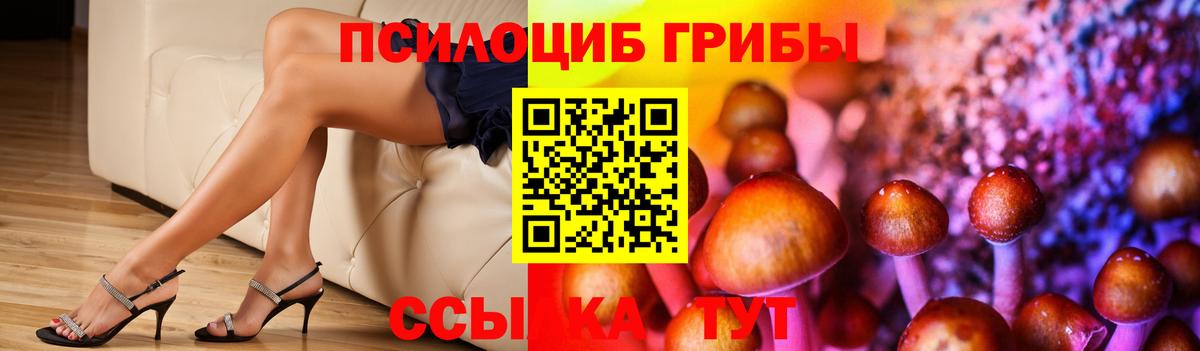 Псилоцибиновые грибы ЛСД Бутурлиновка